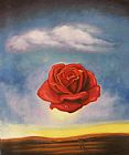 The Rose by Salvador Dali